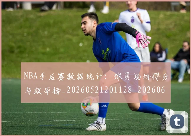 NBA季后赛数据统计：球员场均得分与效率榜_20260521201128_20260607160143