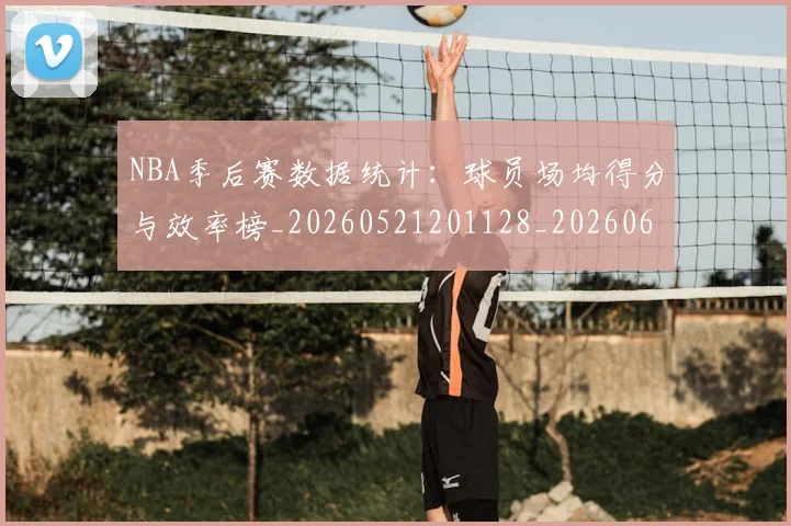 NBA季后赛数据统计：球员场均得分与效率榜_20260521201128_20260607160143